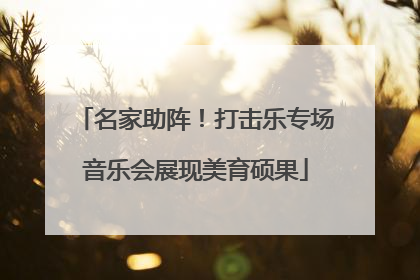 名家助阵！打击乐专场音乐会展现美育硕果